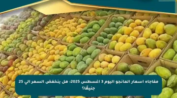 مفاجأة أسعار المانجو اليوم 3 أغسطس 2025: هل ينخفض السعر إلى 25 جنيهًا؟